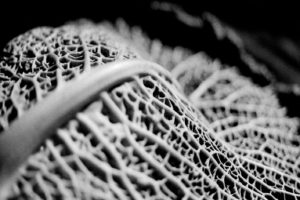 JDSPP.Formes et masses.1