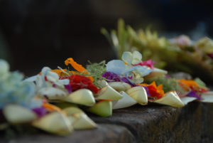 JDSPP.Mariage Hindou.1